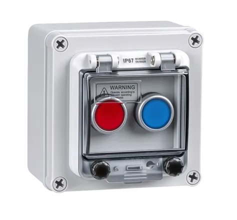 Two-hole Waterproof Button Box